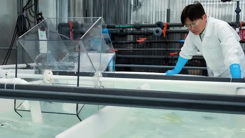 Researcher in protective gear monitors water treatment equipment inside a laboratory facility